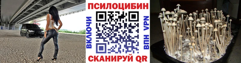наркошоп  МЕГА ссылка  Псилоцибиновые грибы GOLDEN TEACHER  Скопин 