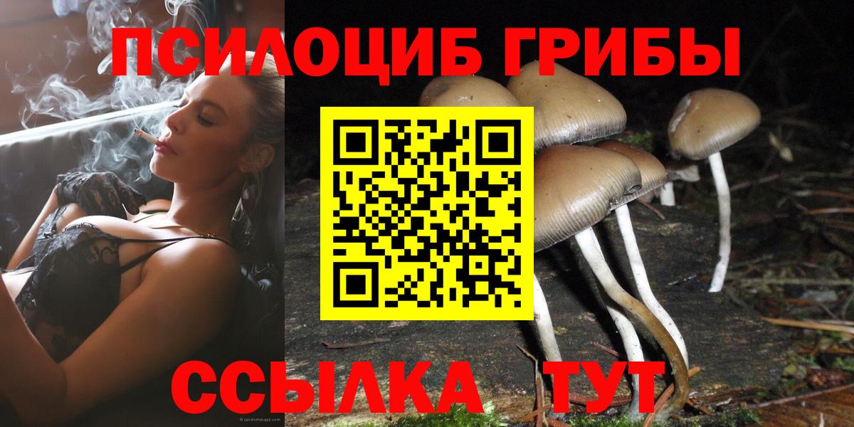 Галлюциногенные грибы Psilocybine cubensis Скопин