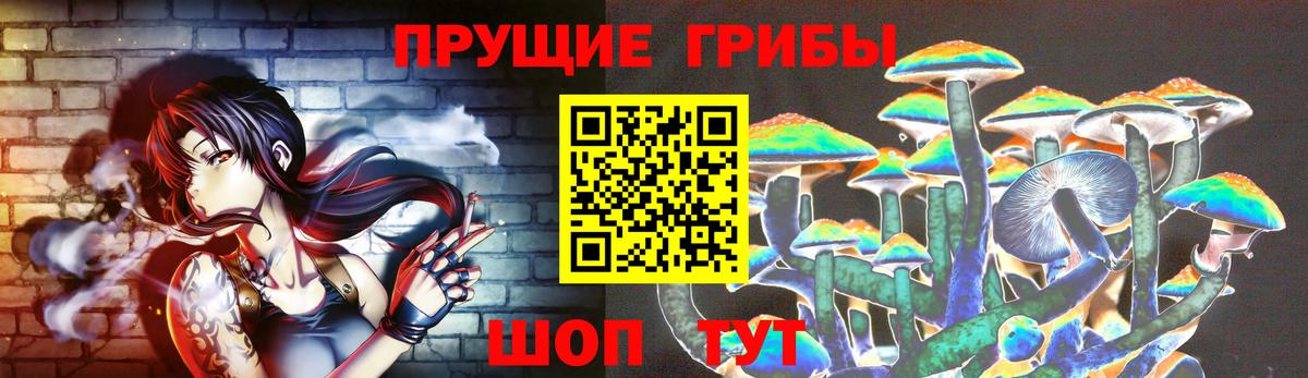 Скопин  где найти наркотики  Вход с VPN  Галлюциногенные грибы мухоморы 